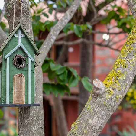 Torrita By Interhome *