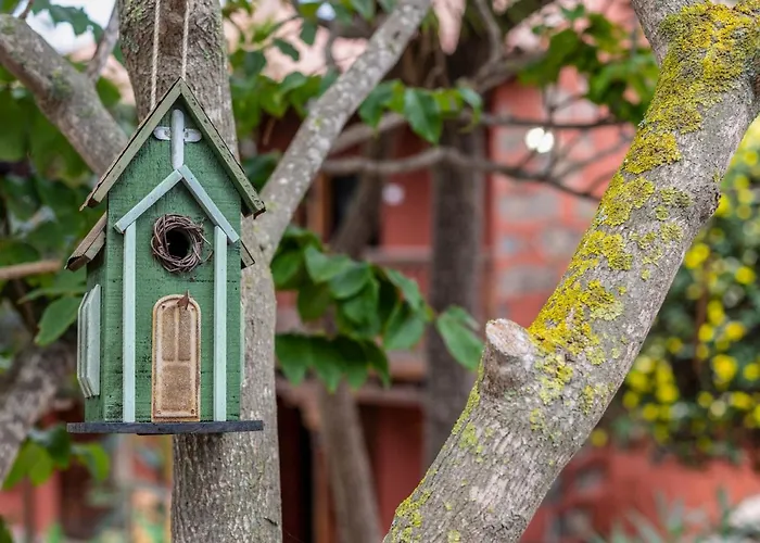 Torrita By Interhome *